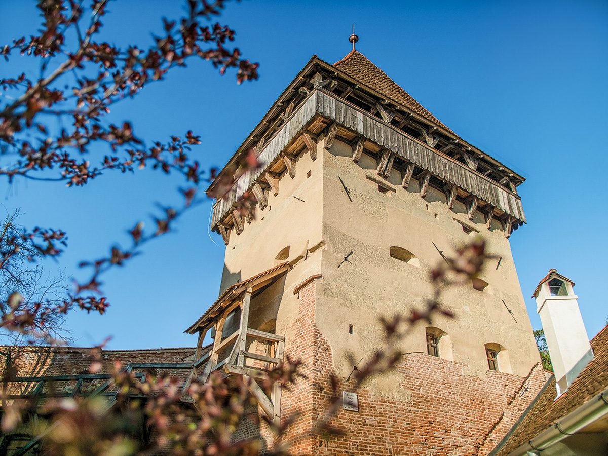 Biserica Fortificată Alma Vii