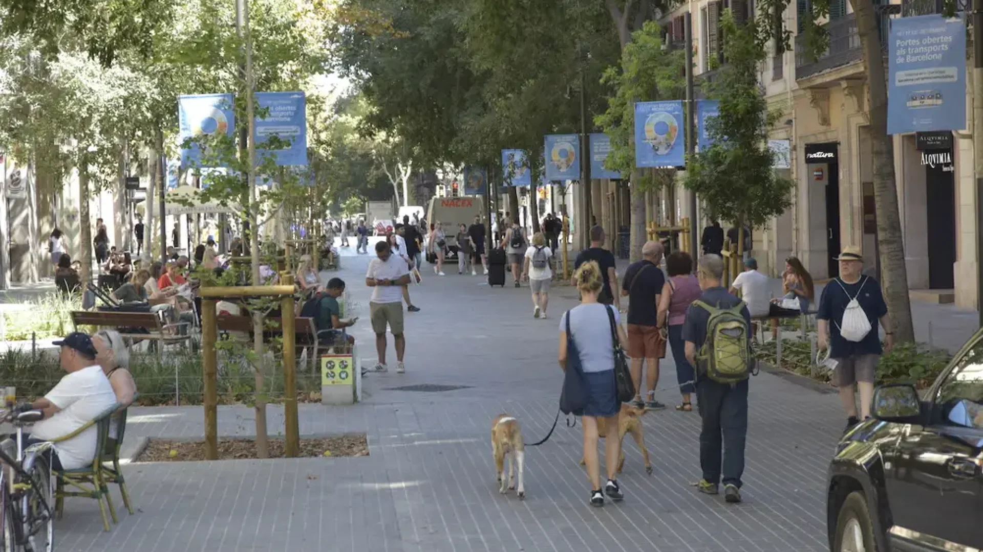 Barcelona_Consell de Cent street - part of a superblock_David Oller on Getty Images