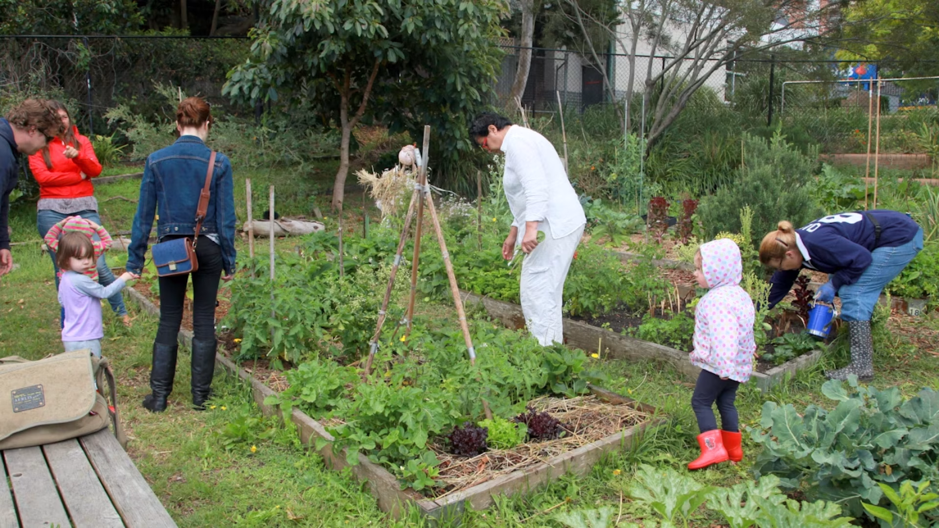 d-olwen-dee_flickr CC BY_Waverly community garden Sidney